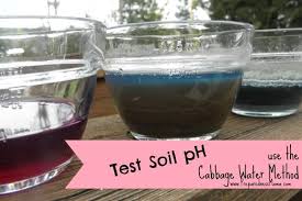 Garden soil testing will increase your understanding of the soil you're working with (and how to improve it for your plants). How Can I Test My Soil Ph Without A Kit Preparednessmama