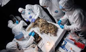 Mi mari melo pelada saw there was a new tiny spinner on the