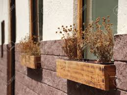 This simple, charming window box measures slightly over three feet long (40 inches) and comes with a drainage hole to prevent damage caused by excess water. Dead Dry Withered Flowers In Wooden Window Box On Wall Stock Photo Picture And Royalty Free Image Image 82617868