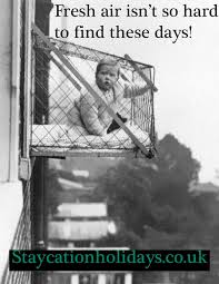 The best gifs are on giphy. Staycation Holidays On Twitter Traveltuesday Meme Crazy And Funny Of A Child In A Cage Once Used To Give Fresh Air And Was Considered Healthy Https T Co Jntkxjbn8j