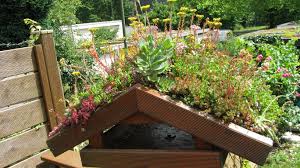 Ihr Dachbegruner Mit System Deco Dachbegrunung Mit System Dachbegrunung Garten Anpflanzen Fassadenbegrunung