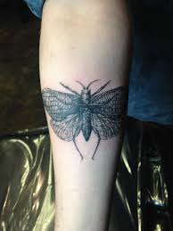 Discover the magic of the internet at imgur, a community powered entertainment destination. Katydid By Jimmy Butcher At The Butcher Tattoo Savannah Ga Half Sleeve Tattoo Tattoos Sleeve Tattoos