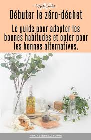 Ebook Debuter Le Zero Dechet Le Guide Pour Adopter Les Bonnes Habitudes Et Opter Pour Les Bonnes Alternatives