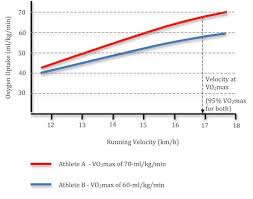 The Effect Of Running Economy On Endurance Performance