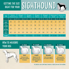 what size redhound for dogs