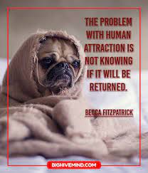 Quotes About Jealousy Insecurity Love Realtionships Big Hive Mind