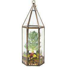 In this diy tutorial, we show you how to make your own terrarium featuring low maintenance cactii and succulents. Deco Glass Geometric Diy Terrarium For Succulent Air Plant Hanging Tall Hexagon Shape For Indoor Gardening Decor Create Your Own Flower Fern Moss Centerpiece Amazing Holiday And Wedding Gift Buy