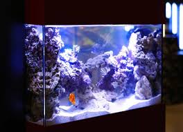 Aquarium Lumiere Lumiere Led Lampe Neon Aquarium