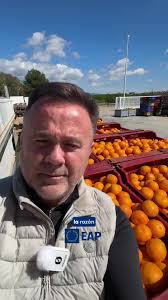 Rechazo a las mandarinas pequeñas en supermercados