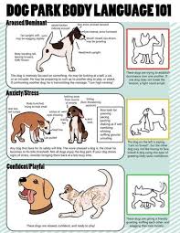 Pin By Jo Kyle On Animals Dog Body Language Dog Training Dog Training Obedience