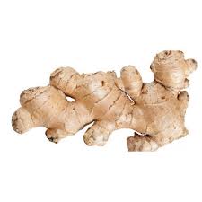 Ginger root (zingiber officinale) is well known as a remedy for travel sickness, nausea and indigestion and is used for wind, colic, irritable bowel, loss of ginger root is a medicinal herb used primarily for the treatment of dyspepsia (discomfort after eating), this includes the symptoms of bloating, heartburn. Ginger Root At Rs 5 Metric Ton Ginger Root Id 19064425288