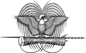 Papua New Guinea Bird Of Paradise Drawing Pin On Png Charm