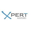 Xpert Auditores y Consultores SpA | LinkedIn
