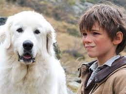 L'aventure continue 2015 en streaming vf. Belle Sebastian Preview Film Critic De