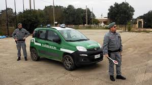 The comando unità forestali, ambientali e agroalimentari of the carabinieri (cufaa) is a specialized unit of the italian carabinieri force. I Carabinieri Forestali Si Spostano Nella Stazione Principale Dell Arma