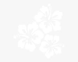 Transparent Hawaiian Flowers Png White Hibiscus Flower Clipart Png Download Kindpng Hibiscus flower silhouette vector illustration stock vector #15939953. transparent hawaiian flowers png