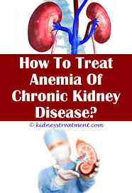Pin On What Is Kidney Disease