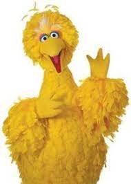 Pin By Amber Barmes On Some Of My Childhood Big Bird Shades Of Yellow My Favorite Color