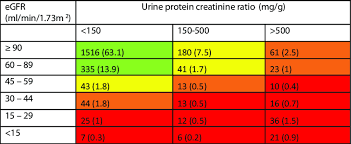 Chronic Kidney Disease Classification As Per Kidney Disease Improving Download Scientific Diagram