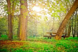 Love Spells That Work In San Diego California Call Whatsapp 27843769238 Bring Back Lost Lover Love Spell That Work Mural Wallpaper