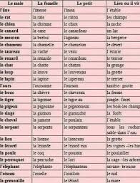 Pin By Nancy Margarita Pena Narvaez On Franceses Learn French French Lessons Learn A New Language