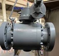 Lip Seal Ball Valves - Baltic