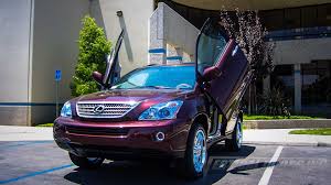 Image result for Brandywine 2008 RX