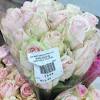 A bulk set of roses that comes with overnight delivery. 1