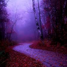 Best Purple Ipad Wallpapers Free Hd See more ideas about purple aesthetic, dark purple aesthetic, violet aesthetic. best purple ipad wallpapers free hd