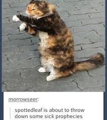 Repost Conspiracy Theory Want To See More Warrior Cat Memes Follow Cloudtail Has Swag For More Tha Warrior Cat Memes Warrior Cats Funny Warrior Cats Comics