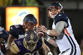 Alliance Of American Football 11 Aaf Players Who Could Be