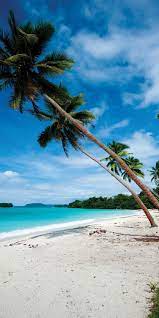 beaches in vanuatu beautiful beaches island vacation summer beach photos