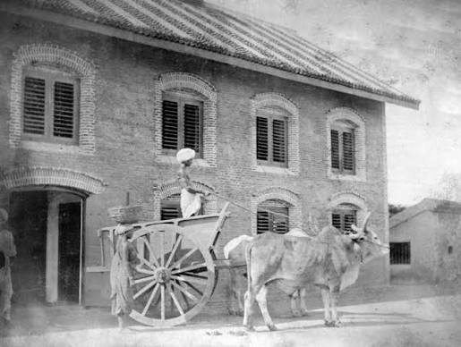 Old picture of Madras women carrying cow dung.