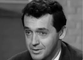 I've been binge watching an old show called "Sue Thomas, FB Eye. Bruce  Weitz guest starred