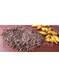 Image result for Tabernanthe