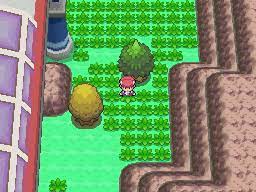 Pokearth Sinnoh Route 206