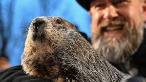 Punxsutawney Phil has seen his shadow! The famous groundhog's shadow means  that there will be six more weeks of winter -- at least according to a  centuries-old annual tradition in the U.S.