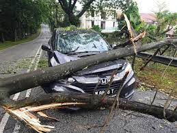 Rm69.9 juta bantuan musim tengkujuh. Kltu Cheras Kl Pokok Tumbang Di Astro Radio Traffic Facebook