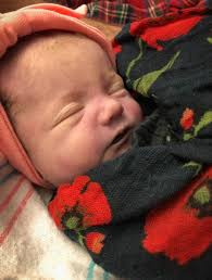 Isla's Life — Gifts of Time