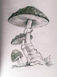 Pin On Best Drawing Idea