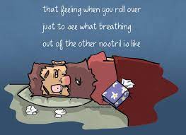 Cold Season Feeling Sick Quotes Allergies Funny Sick Humor
