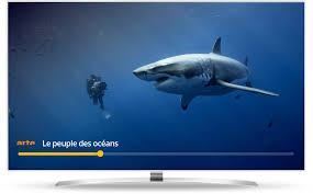 Il suffit de sélectionner une chaîne tv dans le menu à gauche. Regarder La Tv En Direct Avec Molotov