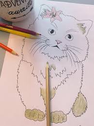 Patriotic owl with hat 4th of july. Cute Kitten Coloring Page Favecrafts Com