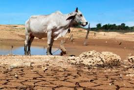 Las consecuencias que se pueden afianzar son devastadoras y se garantiza que los resultados terminen completamente en desastres. Futuras Repercusiones Del Cambio Climatico O Quizas No Tan Futuras 1 Ecointeligencia Cambia A Un Estilo De Vida Sostenible
