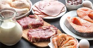 Etapele zilnice ale dietei rina c. Dieta Rina Ziua 1 Ziua Proteinelor Carne PeÈ™te Lactate