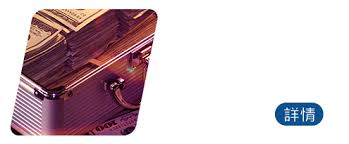 Image result for 香港壹偵探調查社