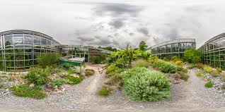 Grundlegende forschungsaufgaben im bereich der organismischen pflanzenwissenschaften durchgeführt. Veranstaltungen Am Botanischen Garten Wurzburg Botanischer Garten