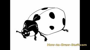 Drawing and coloring a ladybirdeasy video tutorial on how to draw a cute ladybird step by stephow to draw a cute ladybug,a ladybug drawing for kids,how to dr. How To Draw A Ladybug Step By Step Youtube
