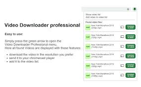 Video Downloader Professional Chrome Webstore
