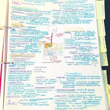 Medical Stud Medical Stud Gi Pathology Notes All In One A4 Page Path Medical School Studying Pathology Medical School